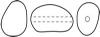Pearl Elliptic